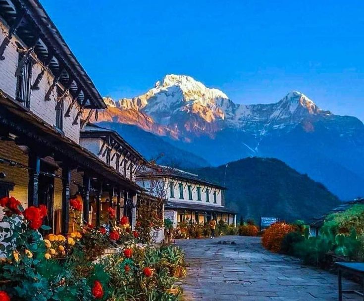 Ghorepani Poon Hill Trek